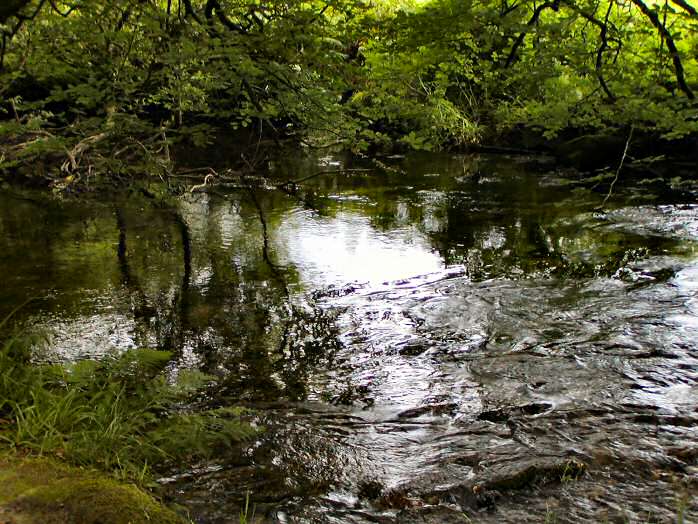 Golitha Falls