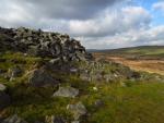 Gold-diggings Quarry, Craddock Moor