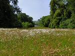 Antony House and Gardens