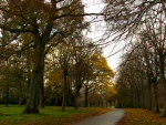 Antony House and Gardens