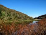 Lopwell Dam