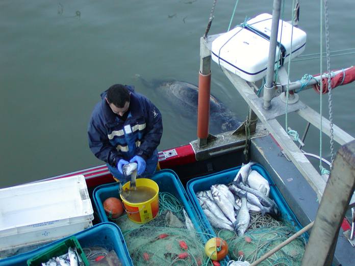 Cleaning the catch