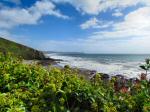 Portwrinkle