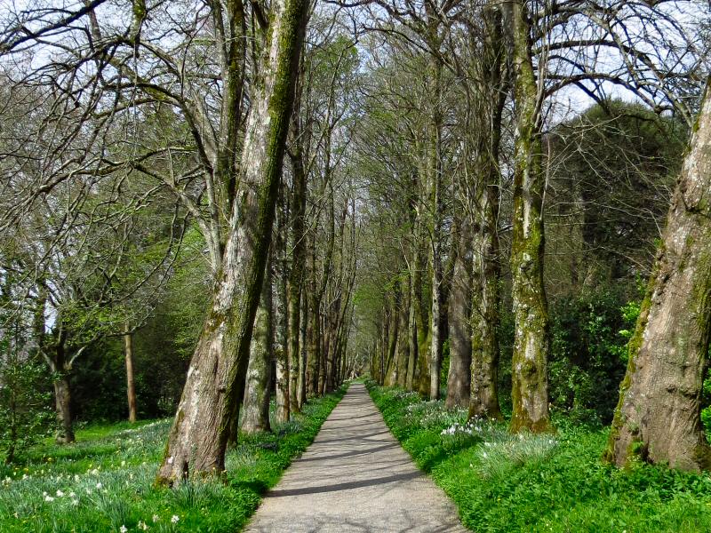 Saltram House