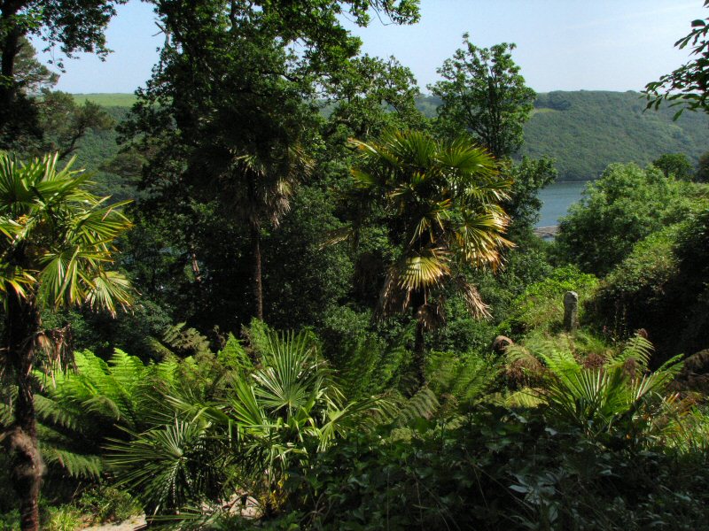 Trelissick House and Estate