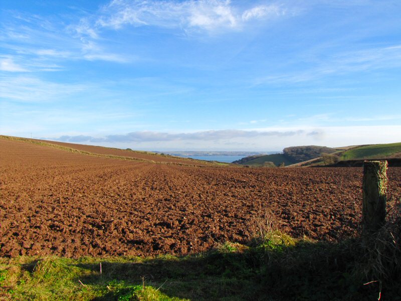 Fields near Polhawn and Wiggle Farm