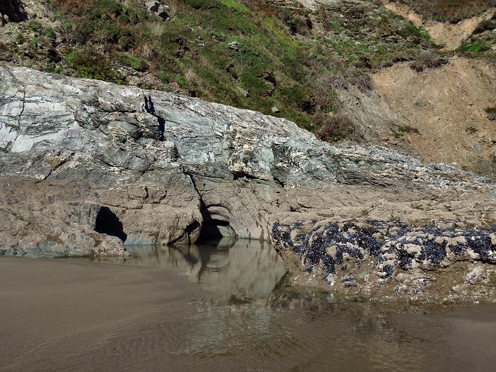 Whitsand Bay - Tregantle