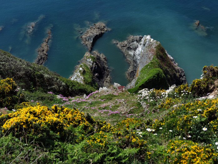 Rame Head