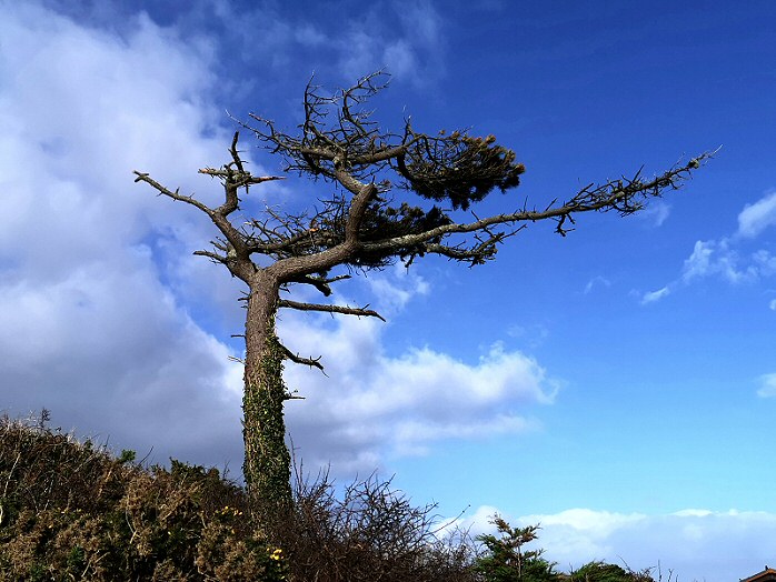 Whitsand Bay