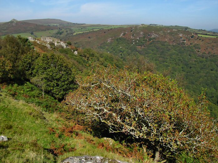 Bench Tor, Dartmoor