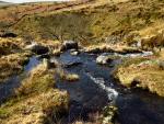 Black Tor Falls