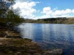  Burrator, Dartmoor