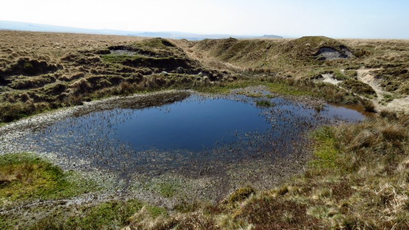 Cramber Pool, Dartmoor