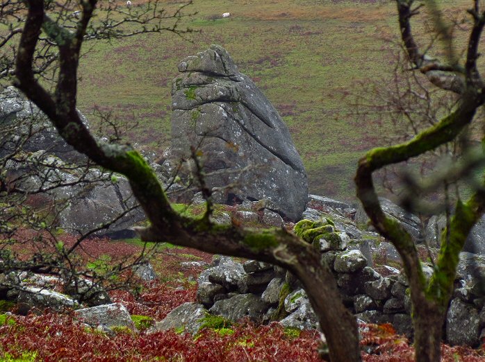 Cuckoo Rock, Dartmoor