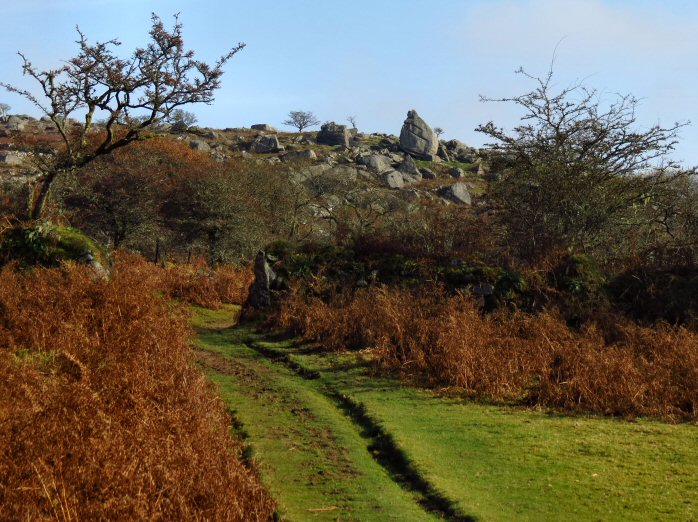 Cuckoo Rock, Dartmoor