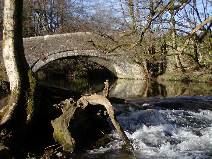 Clearbrook - Dartmoor