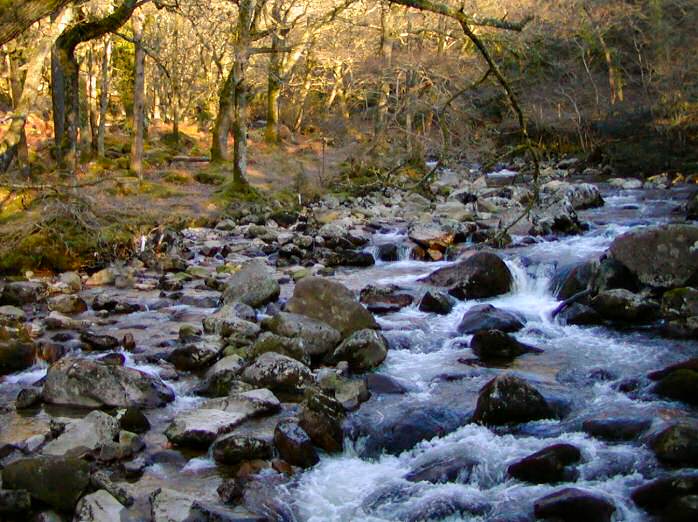 River Plym near Shaugh Bridge