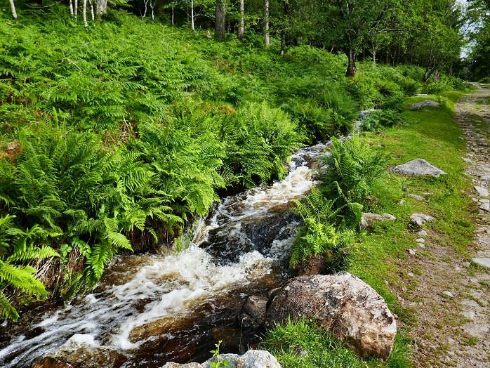 Devonport Leat, Dartmoor