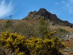 Leather Tor, Dartmoor