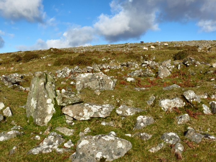 Stone Hut, Leeden Tor