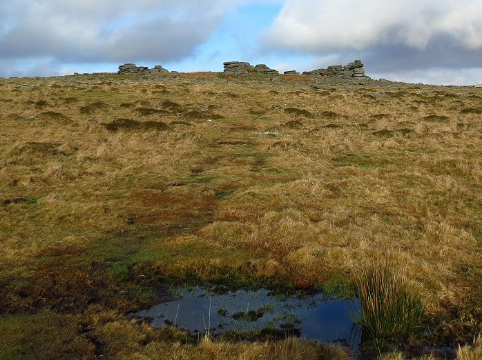 Leeden Tor, Dartmoor