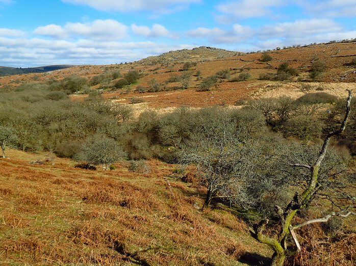 Deancombe Valley