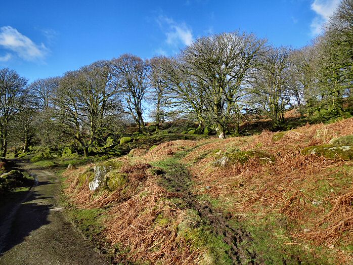 Deancombe Farm - Deancombe Valley