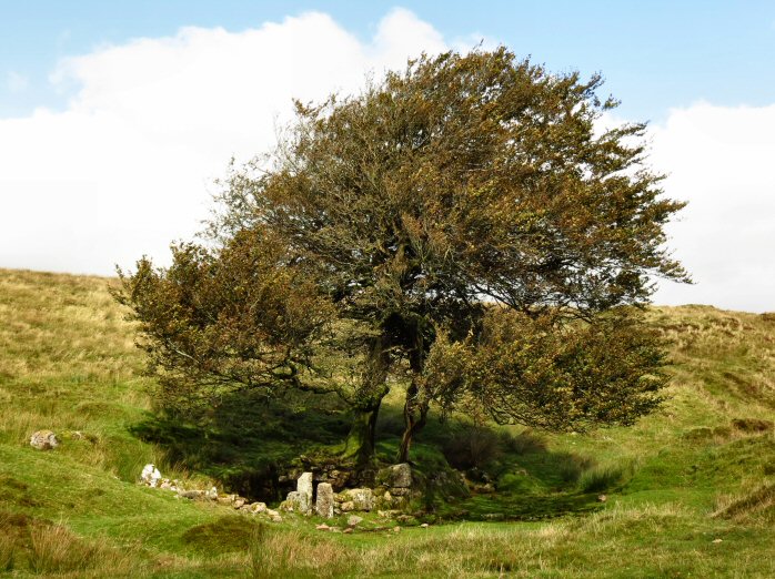 Nun's Cross Farm