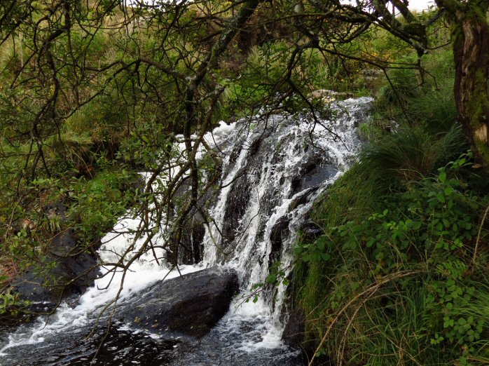 River Meavy, Dartmoor