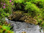 River Avon near Shipley Bridge