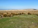 Cramber Tor, Dartmoor