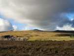 Staple Tors