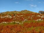 Down Tor, Dartmoor