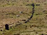 Down Tor Stone Row, Dartmoor