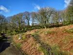 Narrator Brook
