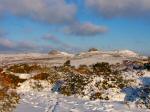 Saddle Tor and Hay Tor