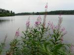 Venford Reservoir