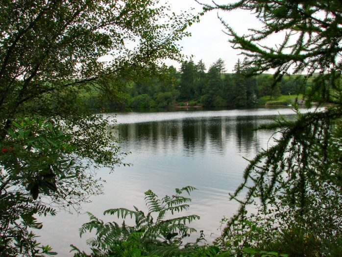 Venford Reservoir, Dartmoor