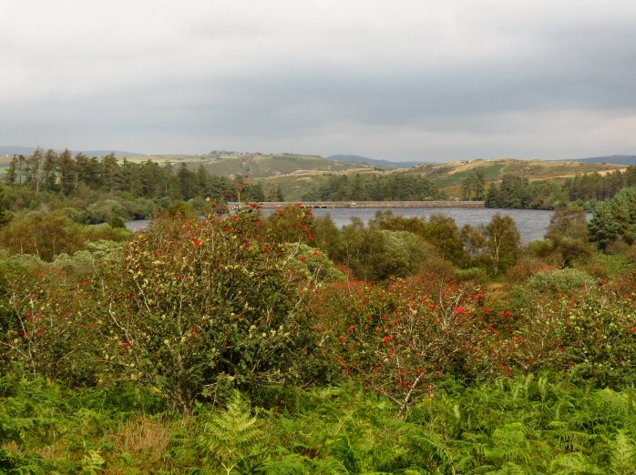 Venford Reservoir, Dartmoor