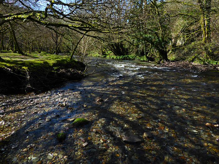 River Walkham, Nr Bedford Bridge, Dartmoor