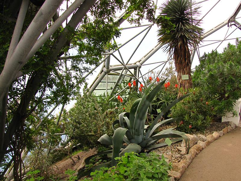 Inside the Mediterranean Biome