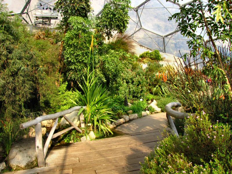 Inside the Mediterranean Biome