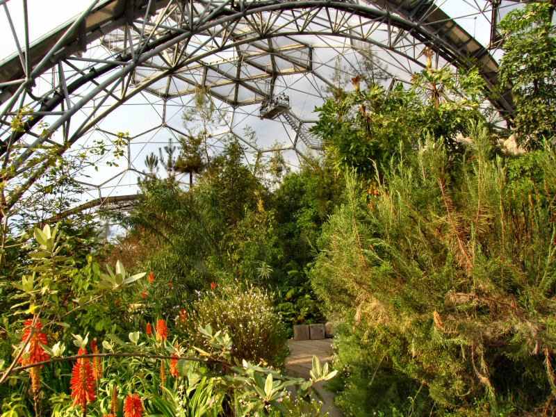 Inside the Mediterranean Biome