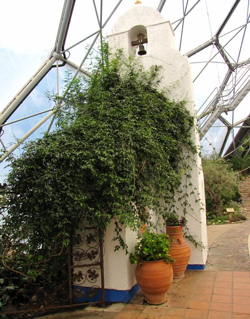 Inside the Mediterranean Biome