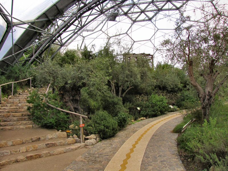 Inside the Mediterranean Biome