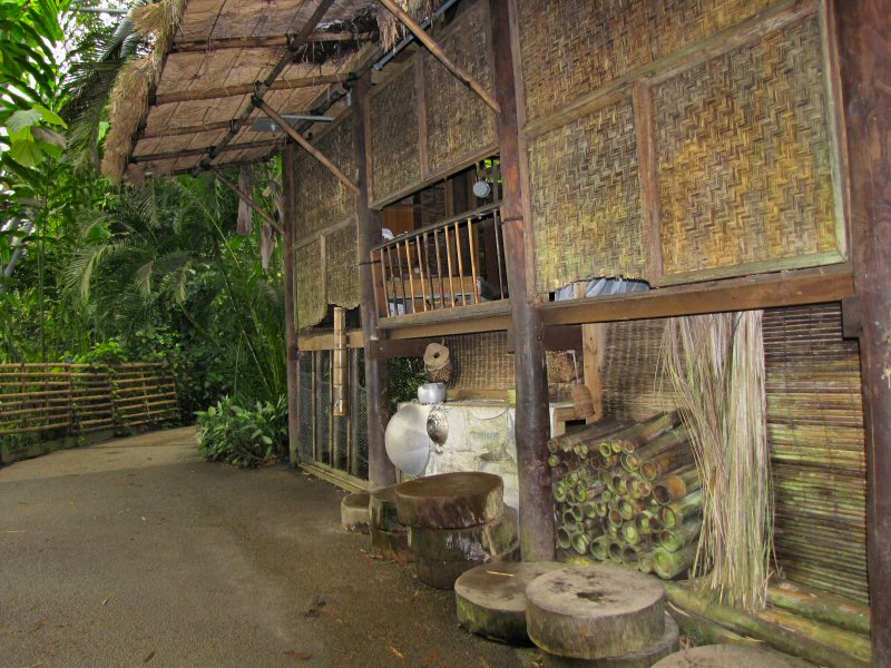 Inside the Rainforest Biome