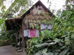 Eden project