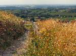 Brentor - Entrance to Churchyard