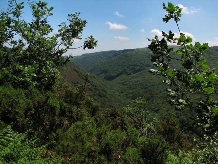 View of Teign Gorge, Castle Drogo