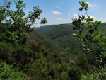 View of Teign Gorge, Castle Drogo